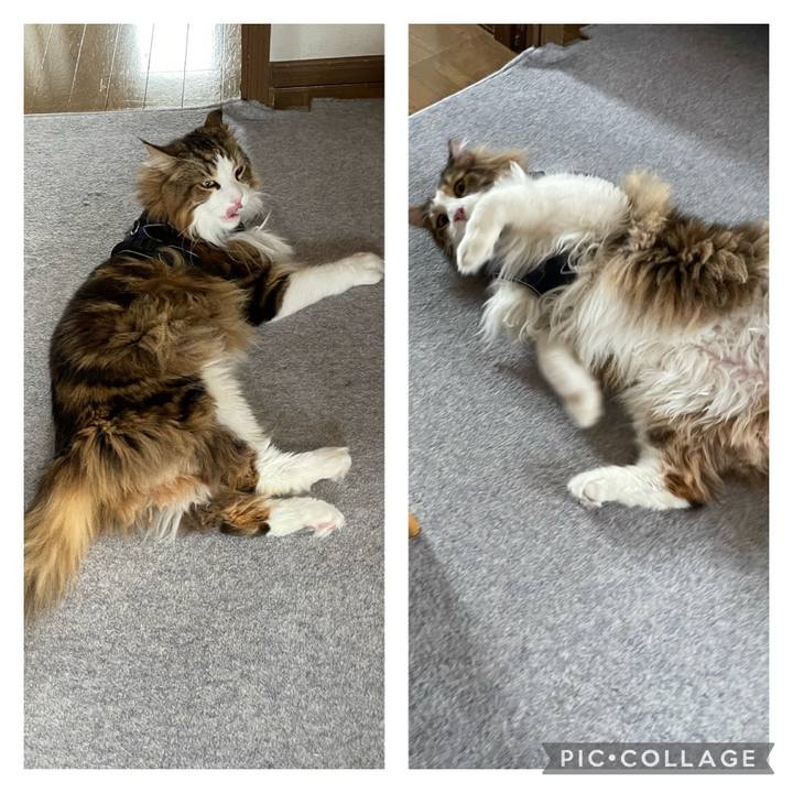 8a99d11f cf37 49a3 9a68 0776fd17de09 1683412260402