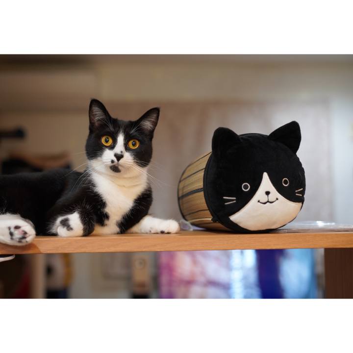 8a99e285 cc3c 4f79 bf23 33821de8f4f8 1621089197649