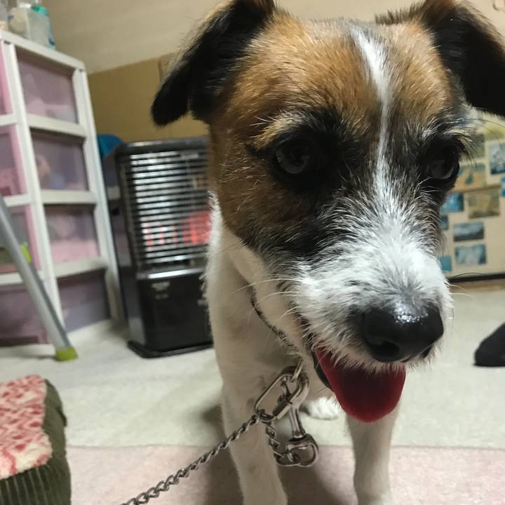 8a99f9ad e6cf 4d5b 8422 a40fc0ea56ed 1545907728296