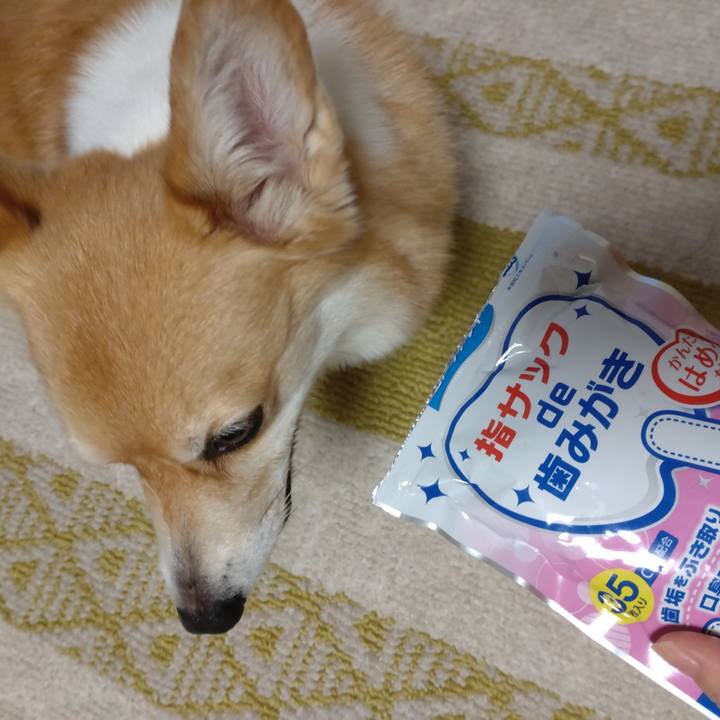 8a9a0f04 af87 4d6d b5b9 2c143a4f5794 1662298504296