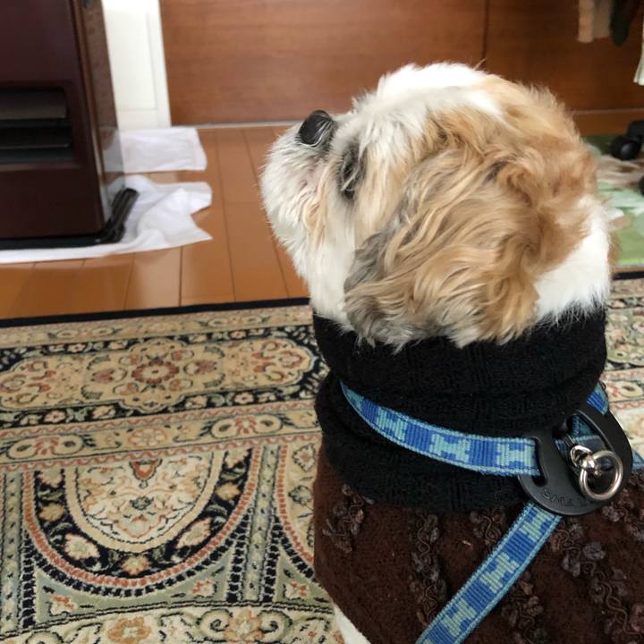 8a9a2ab4 364f 494c 9f18 280b6eefcae3 1579399671516