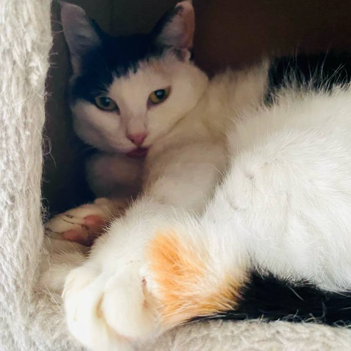 8a9a2b19 6f8e 4b5b 8614 173a1e813e50 1687904452780