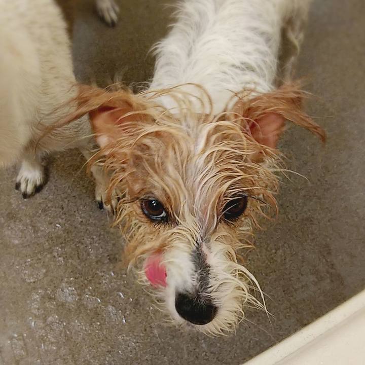 8a9a3194 372f 42fa 90d0 f8cc22c94a82 1535252772648