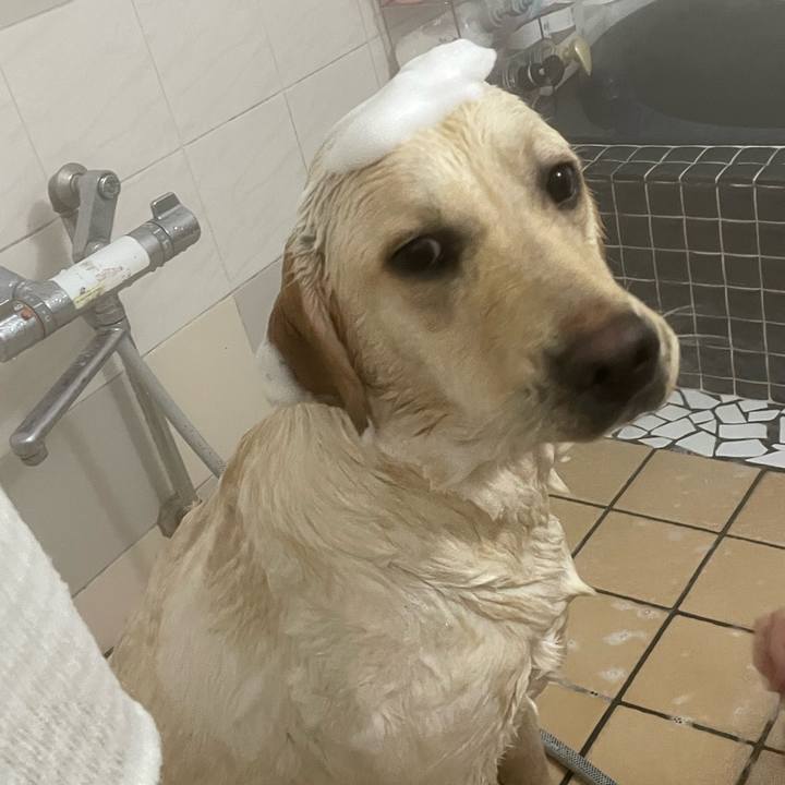 8a9a584b 25e3 4f1d a8e5 194922bf301d 1646644762709