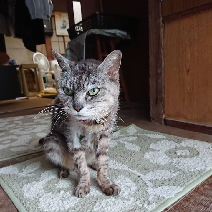 8a9a943b 455f 425e 8dd8 85e158ef9355 1594372537331