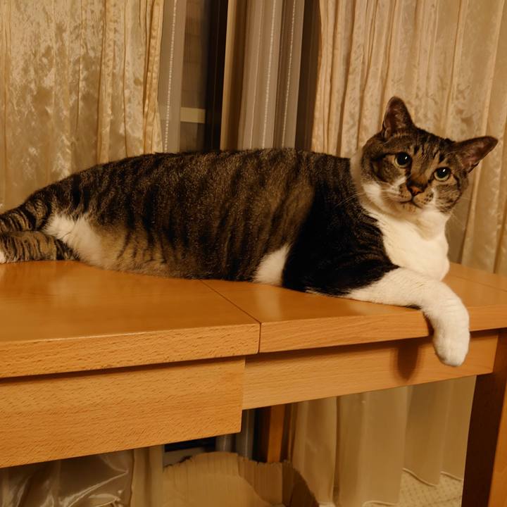 8a9aa146 2e4b 4be4 a59e a8c3b61a5a00 1594477053696