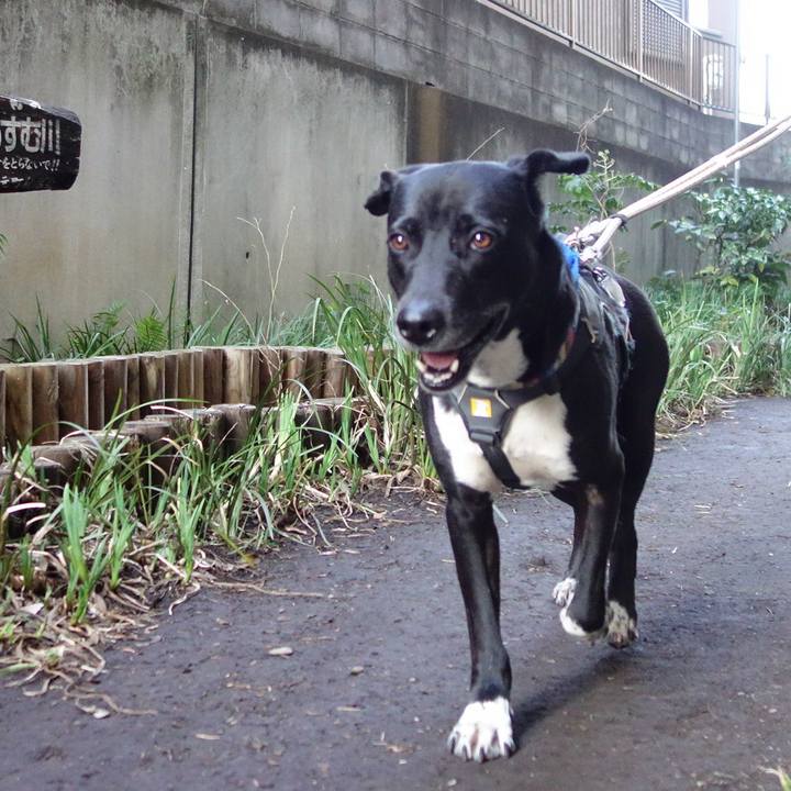 8a9ae6a8 02f6 4bbf 9fb2 6477b71d5c7e 1647045012275