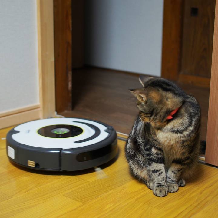 8a9b3878 e230 4634 ac5b fc2fb80ad88d 1516281946716