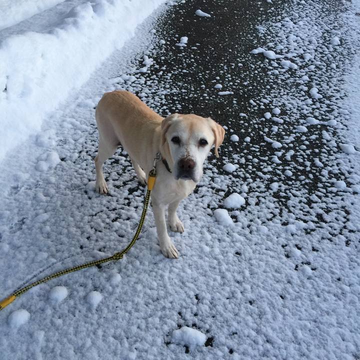 8a9b4c09 65b9 4983 9d9b ac900436026a 1515795638228