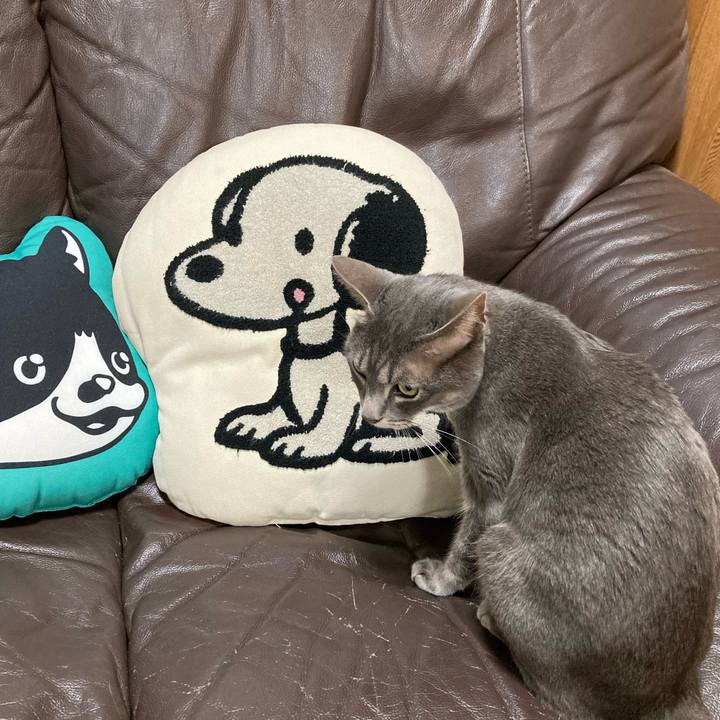 8a9b4f7c 7952 41d5 8e05 337cc26b45d2 1676288341464