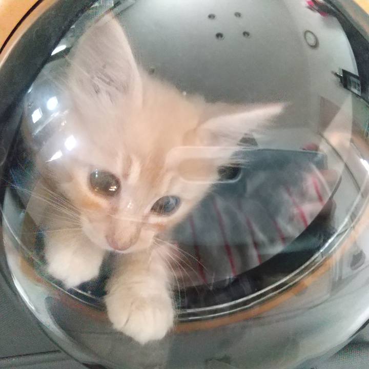 8a9b7eb8 e438 4a30 9a4e 97bd37317aab 1603155155105