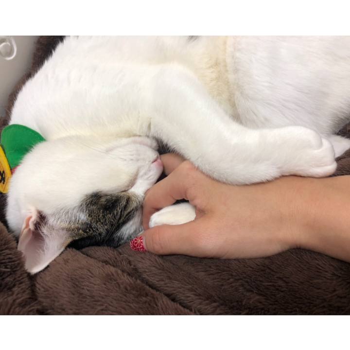 8a9b951a 2082 43f3 a8d4 84bd61469c0a 1549203838441