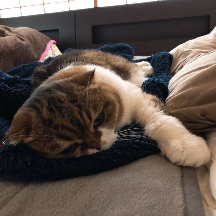 8a9bb183 0a70 4bae 9e4d 17870328f6c6 1545539867110