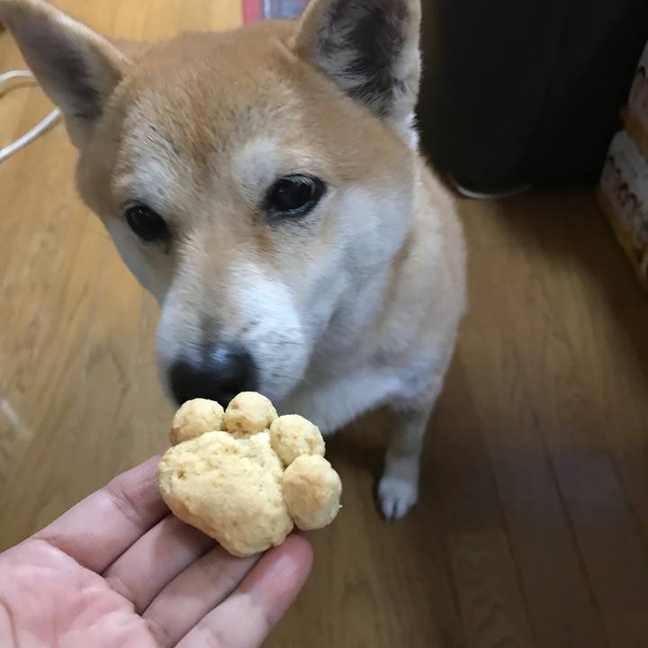 8a9bc907 0166 44e5 8e8e 1fa5a7574e04 1516056047025