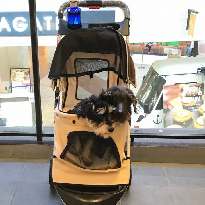 8a9bcc21 e5a8 48c5 88b2 fc08951b7f63 1557068453503