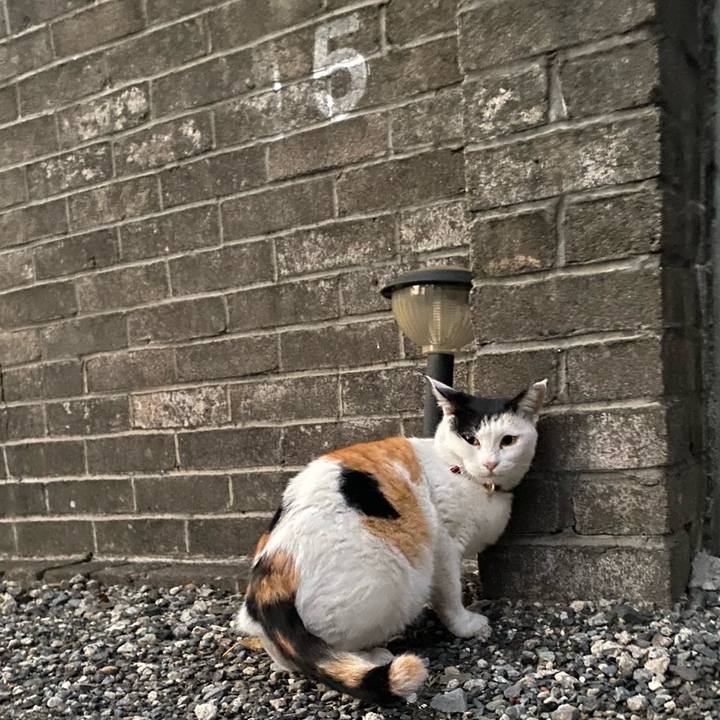 8a9bf8f8 1fcc 4530 bc81 52c2a2f48afb 1639520958197