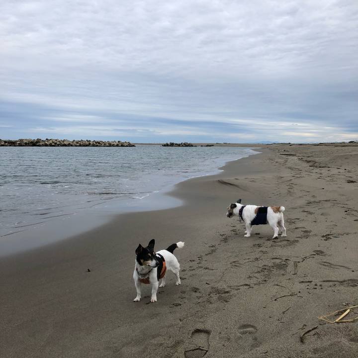 8a9c6908 40ea 4907 90b7 ee0a5675e9d9 1538268208555