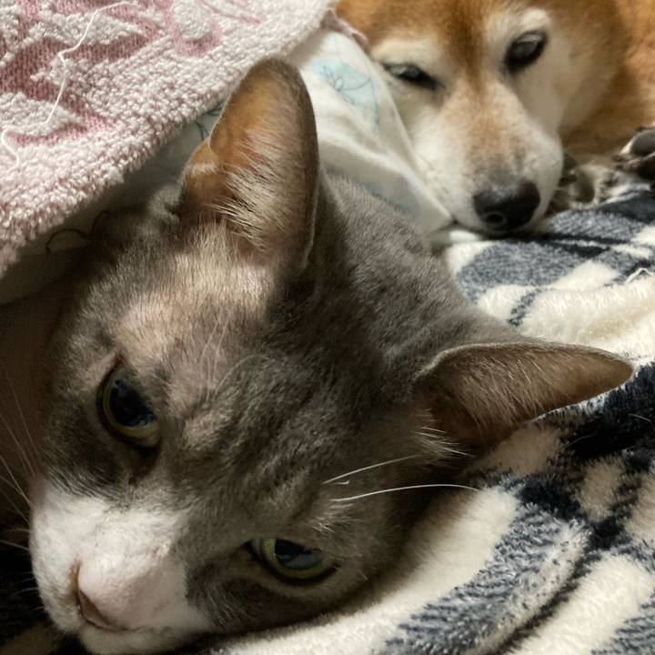 8a9c7503 0406 4000 9522 09215e369280 1696855619155