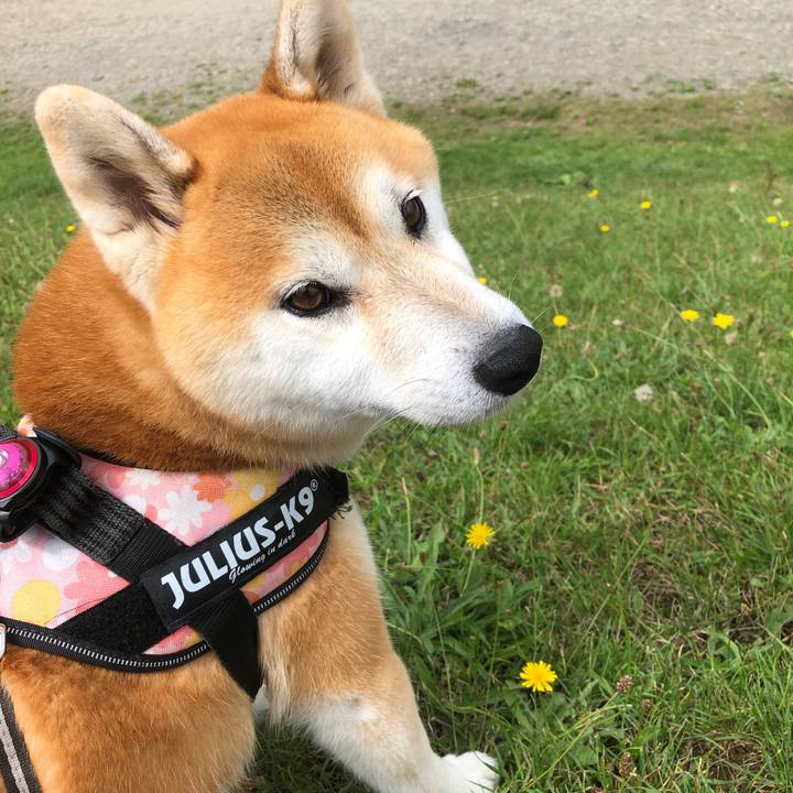 8a9ca503 ab94 4bcc 9f05 5439b2b82c11 1565664608161