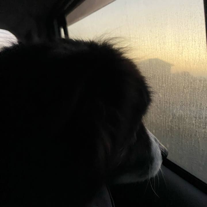 8a9cd969 d6c0 4ed7 ad3f d3fdaef0acf5 1673129152924