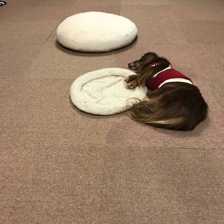 8a9d54d1 2084 4fcc afb1 59aeb0b3fef6 1531910301467