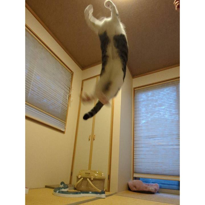 8a9d6037 24f1 440f af09 dca9d6800c0b 1753312915866