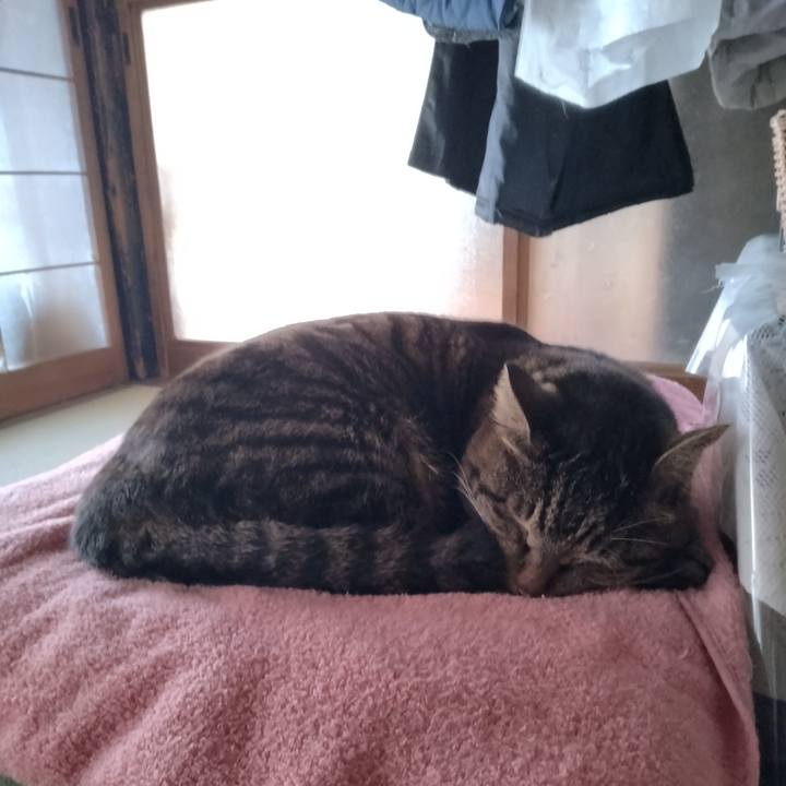 8a9d79a7 05b6 4005 9e22 d53efce09134 1680052444854