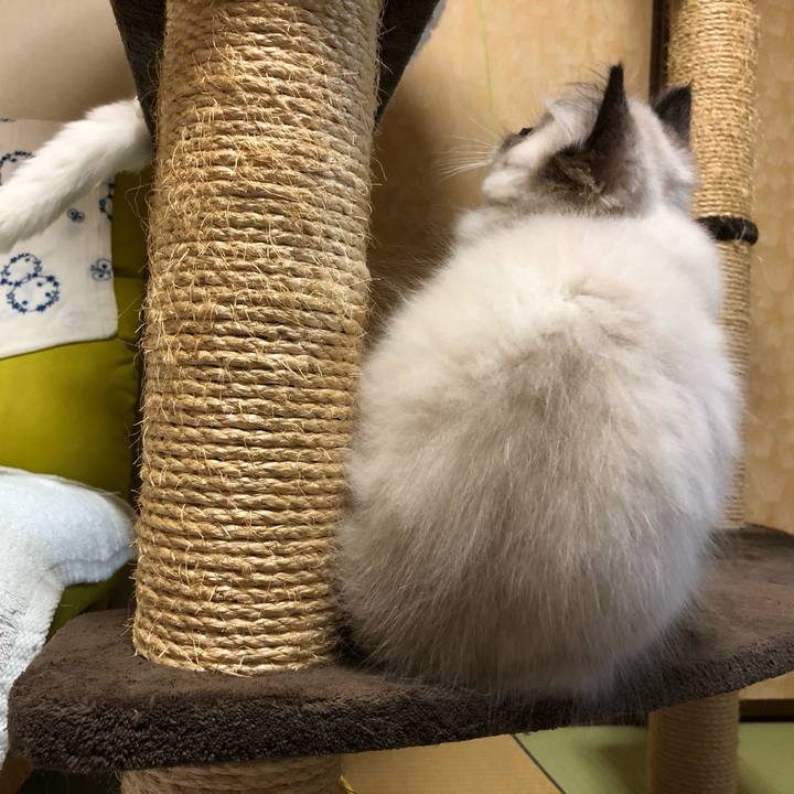 8a9d862b e100 42de aa2f 8751af17dae4 1631795856250