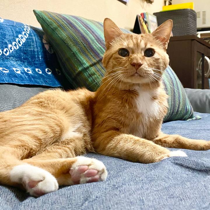 8a9d8b9e 0db2 47ad 87a4 d447810c61f3 1768286599627