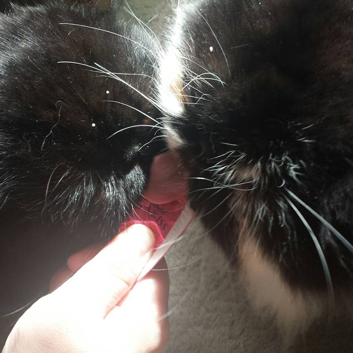 8a9db0f5 647e 47e6 bfe7 ef26aef5bb57 1519303070144