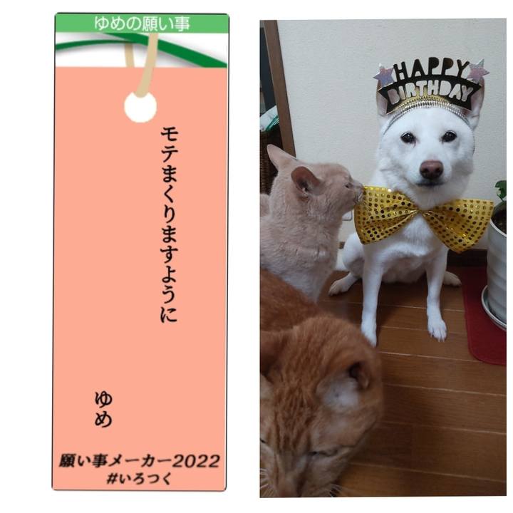 8a9ddadb 1c85 4f5c 98fb 5a43ab36d39d 1657154540059