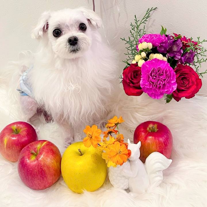 8a9e43a2 fd91 4433 b0e6 6ea8ac4c6f0a 1700815765633