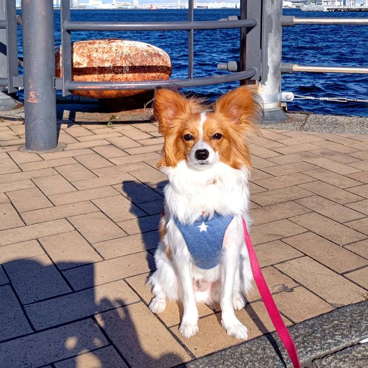 8a9e447a 6c25 49ba badd beea58514cfa 1635080643822