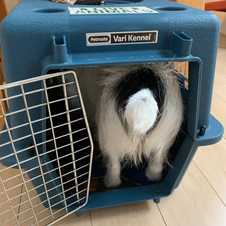 8a9e4976 e8bf 44d2 a66d ffb57398df66 1680944253582