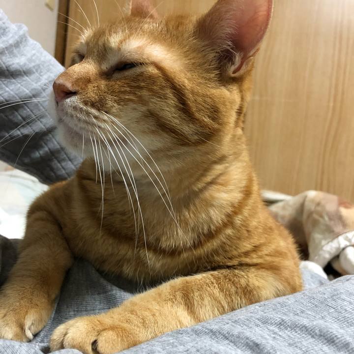 8a9e4d57 e61f 4ce9 bd72 276fbdb5036f 1594299158618