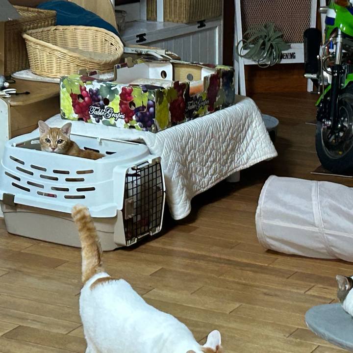 8a9e5539 aff4 4fc4 9178 4d5f23db449c 1676712999144