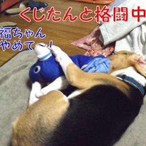 8a9e742f 9fa1 4d7d 9066 4ddcf310fcf0 1689725680684