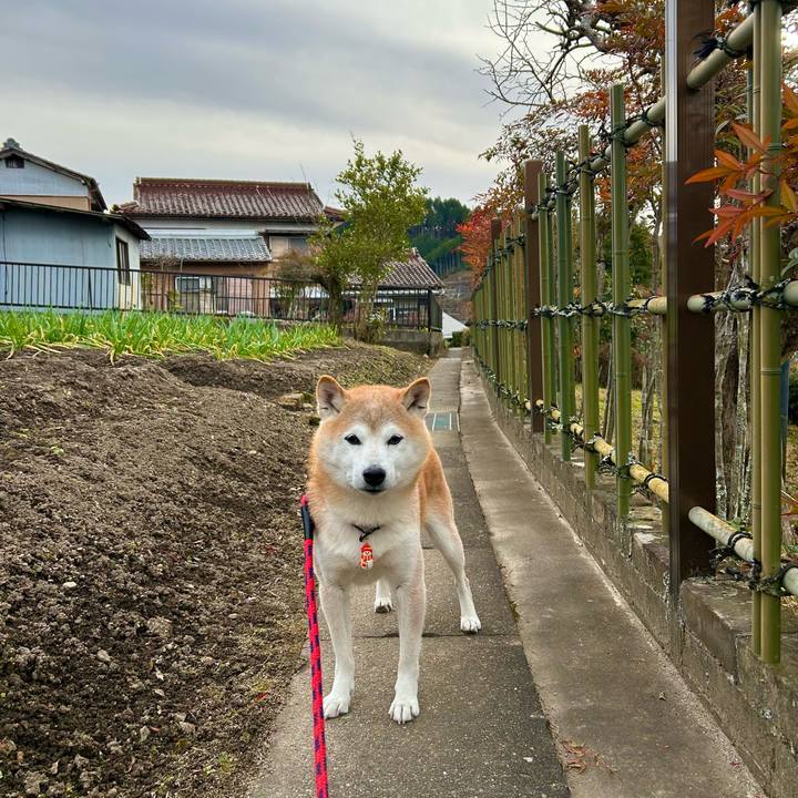 8a9e8ef2 6a4b 42a7 8c37 6ef2f2f3b15e 1734686302743