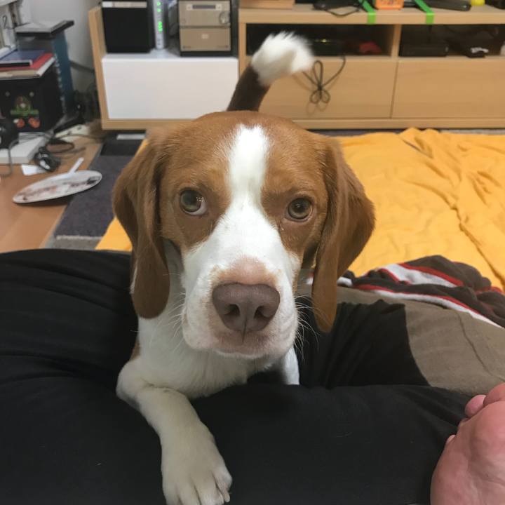 8a9e9333 4376 40da 9ab4 65ce8656c7a8 1528986085054