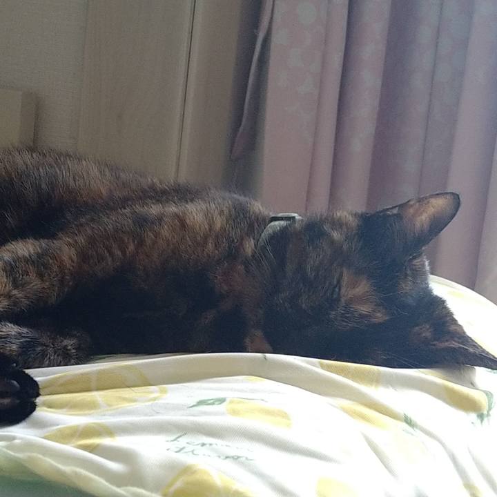 8a9e9c59 b170 4e8b bbb1 a949c9294a4c 1657632410453