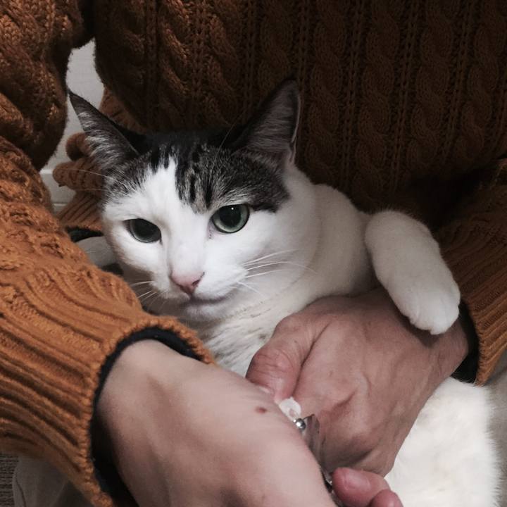 8a9ed6fe eb93 49f6 a269 7c9f7c8575bd 1509719199266