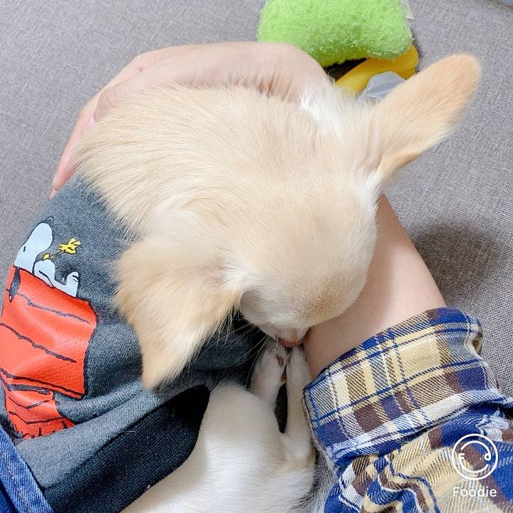 8a9edf08 8637 40c6 84f7 d21e154975b7 1600935355639