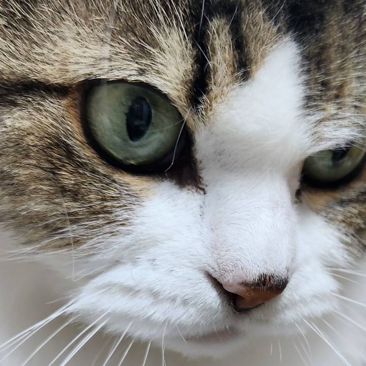 8a9ee317 6fc0 48c9 b0df 1cb364d135c0 1754760660551