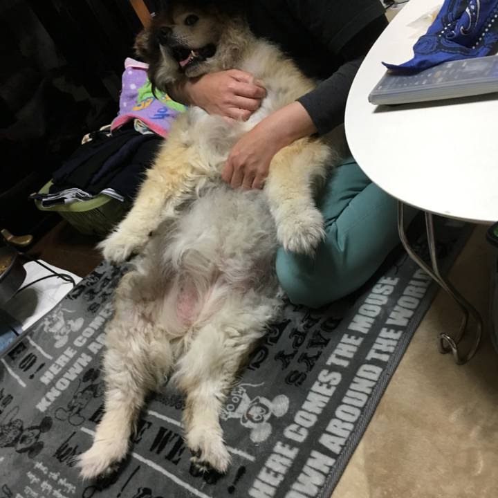 8a9ef484 d78d 4251 8a1b 8c32e93c008d 1596904704842