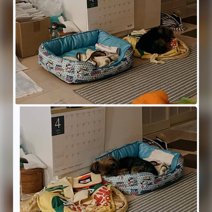 8a9f09c6 89e1 4cdf 9783 4464df85d580 1712137073789