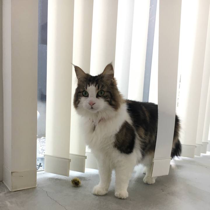 8a9f5b9f 7e0d 4dd8 bc3b aef4df0cf49e 1520932583260