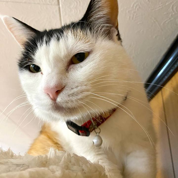 8a9f70b8 0cdf 4c11 af46 22f5954ce281 1682820799089