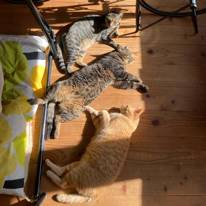 8a9f7db2 e050 4540 b786 2c9ad4859cc9 1684882866890