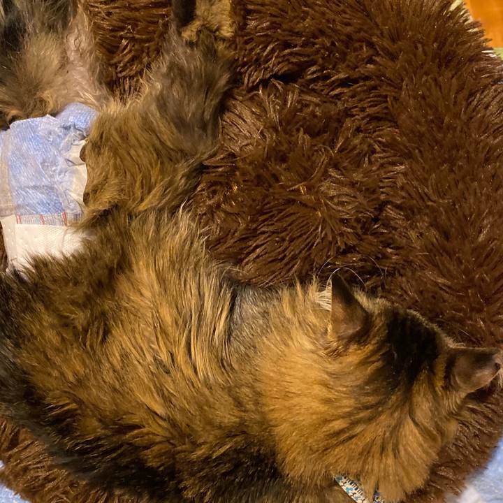 8a9f859c df6c 41a6 b792 40a5285b5928 1705497973723