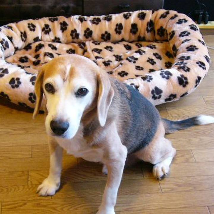 8a9fa4ea 7594 4c53 a3b7 1c1cc23edd8a 1654734759752